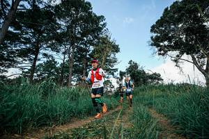 BIB: 
                            <button type="button" onclick="openModal(26042083)" class="btn btn-primary btn-sm float-right btn-popup" data-toggle="modal" data-target=".modal-high-quality">
                        <i class="fas fa-shopping-cart"></i> Add to Cart
                    </button>
                                            <button type="button" onclick="isThisMe(26042083, true)" class="btn btn-success btn-sm float-right btn-popup btn-isme hidden" data-toggle="tooltip" data-placement="bottom" title="นี่คือรูปของคุณใช่ไหม คลิกที่นี่เพื่อเอาเข้าอัลบั้ม">
                        <i class="fas fa-plus"></i> Add to album
                    </button>
                    <button type="button" onclick="isThisMe(26042083, false)" class="btn btn-warning btn-sm float-right btn-popup btn-isnotme hidden">
                        <i class="fas fa-ban"></i> Remove from album
                    </button>